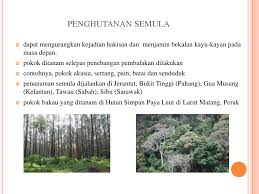 Demikian juga dengan pembakaran hutan dan peristiwa alam seperti gunung meletus. Langkah Langkah Mengatasi