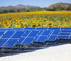 See solar panel stock video clips. Sun Solar Cell Panels Nad Sunflowers Field Use As Natural Electric Power And Pure Energy Of Nature Source Stock Photo Picture And Royalty Free Image Image 34607934