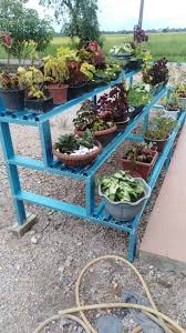 Rak bunga samarinda balikpapan kalimantan timur pilihan terbaik hadiah untuk istri saya, puas banget desain bagus finishing rapih cantik cantik rak bunga nya, pelayanan ramah. Rak Pokok Bunga Besi Biru Harga Rak Pokok Bunga Murah Facebook