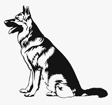 How To Draw German Shepherd Black And White Sketch Under 15 Minutes It May Surely Help You German Shepherd Art Dog Sketch Dog Silhouette