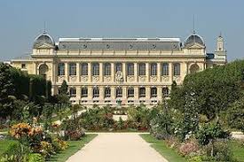 Museum National D Histoire Naturelle Paris 5e Jardin Des Plantes Paris Beaux Jardins Plante Jardin