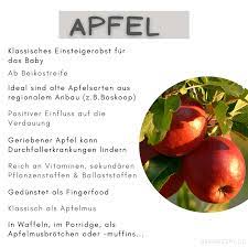 Ist mein baby bereit für seinen ersten brei? Obst Fur Das Baby Tipps Fur Eine Fruchtige Beikost