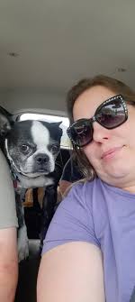 This is Tucker. I got him in 2016 and it was the best decision I ever made.  Yes, he may love to bark at any dog he sees and roll over on