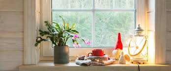 I think that may be a little to sunny if it is very bright. Christmas Cactus Care Ted Lare Design Build