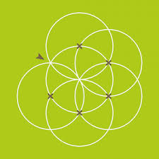 Blume Des Lebens Zeichnen Birgit Hassel