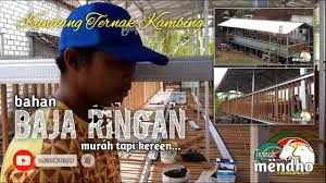Ada dua type kandang ternak kambing, yaitu kandang koloni dan kandang individu. Download Kandang Domba Cak Doel Bahan Baja Ringan Murah Ekonomis Keren Pastinya Mp4 3gp Mp3 Flv Webm Pc Mkv Daily Movies Hub