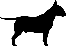 Black And White English Bull Terrier Puppy Free Image On Pixabay Dog Bull Terrier The Silhouette Bull Terrier English Bull Terriers Cattle Dogs Mix