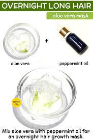 Overnight Hair Remedy With Aloe Vera Little Diy Overnight Hairstyles Argan Oil For Hair Loss Best Hair Loss Shampoo