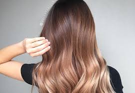 Thick, dark brown hair with beautiful layers will look amazing dyed in a warm caramel brown ombre shade. 12 Prettiest Brown Ombre Hair Ideas Of 2021