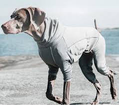 Hurtta Body Warmer Dog Bodysuit Carbon Grey 10s