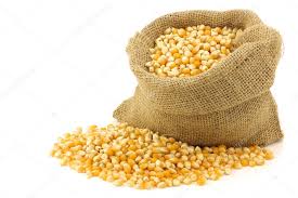 Fotos de Milho, imagem para Milho ✓ Melhores imagens | Depositphotos®