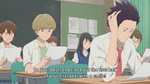 Image result for Kotschya sp.no.A