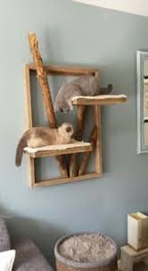 Hallo Liebe Emily Feline Fabulous Emily In 2020 Huisdier Meubelen