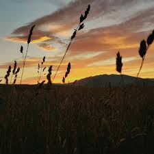 Profile for D.King Photography