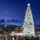 Holiday Tree Lighting at the Heavenly Village Lake event image