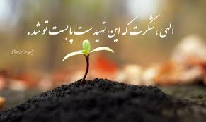 Image result for ‫شکر گزار باشیم‬‎