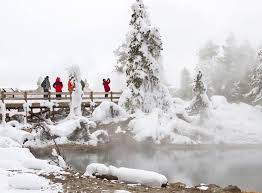 Tours from mammoth located in yellowstone's northern range, mammoth hot springs is a spectacular location for wildlife watching, skiing, and snowcoach tours. Winter In Yellowstone National Park