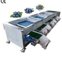 Industrial Electronic Blueberry Sorting Grading Size Sorter Machine Price