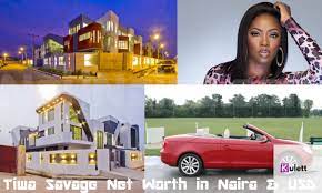 Fresh new remix by dj femm tiwa savage kele kele love. Tiwa Savage Net Worth 2021 Forbes Neolife International