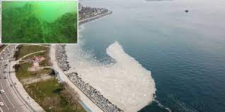 Son 3 aydır marmara denizi'nin büyük bir bölümünde etkili olan deniz salyası olarak bilinen müsilaj tabakasının uydu görüntüsü tehlikenin büyüklüğünü gözler önüne serdi. Marmara Denizi Nde Deniz Salyasi Goruldu Tehlike Saciyor