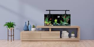 Aqua one betta trio tank. Betta Trio