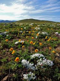 Profile for William O. Douglas Trail