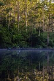 Maybe you would like to learn more about one of these? Image Of The Still Dark Water Of Pemberton Pool Austockphoto
