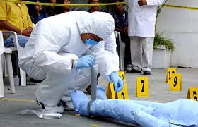 Resultado de imagen para criminologÃ­a