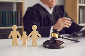 Types Of Child Custody: Sole, Joint, And Split Custody Explained - The Law  Brigade Publishers (India)