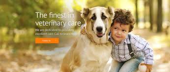 Clinic is available to everyone. Veterinarian In Stafford Va Usa Pet Clinic Animal Hospital Veterinary Hospital