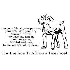 They're sensitive, affectionate but also courageous when needed. Are Boerboels Dangerous