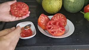 Domates Kavun Karpuz Tohumu Nasil Alinir Food Meat Shrimp