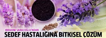 Sedef Hastaligi Bitkisel Tedavi Yontemleri Saglik Deri