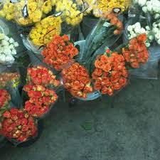 Maybe you would like to learn more about one of these? Photos At Berkeley Florist Supply Flower Shop In Allapattah