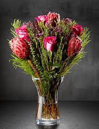Pin On Proteas