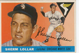 My rookie collecting year