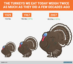 Ok so i see all these post about turkey size but what is the average dressed weight of the differant types of turkeys. How Big Turkeys Were Then And Now