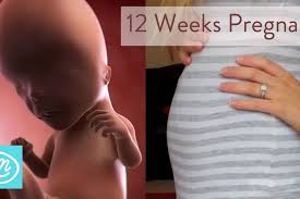 Saat hamil 5 minggu, perut ibu hamil belum membesar tapi janin telah berbentuk dengan ukuran sebesar biji wijen. Kenali Tanda Kehamilan 12 Minggu Janin Sebesar Buah Berwana Ungu