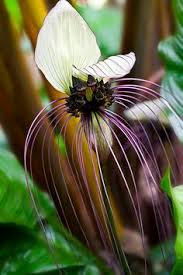 Pin On Nature