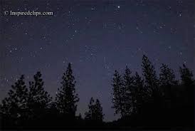 Una lluvia que jamas llego. Lluvia De Estrellas El Universo Y Sus Misterios