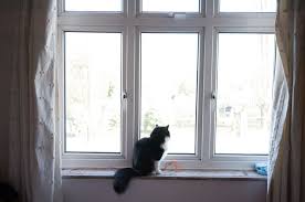 Über 4.500 baumaschinen sofort verfügbar. Why Is My Cat Going To The Toilet Around The House Battersea Dogs Cats Home