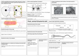 Check spelling or type a new query. Edexcel Gcse Biology B2 Revision Sheets Teaching Resources