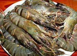 Crabs