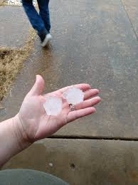 HUGE hail in Olive Branch, MS. Some...
