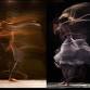 Synchronising Body and Mind: a Morning of event image