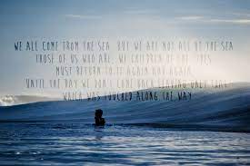 Pin By Stephen Schroeder On We Children Of The Tides Surfing Quotes Chasing Mavericks Quotes Chasing Mavericks
