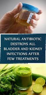 Bladder Or Urinary Tract Infections Might Be Really Unpleasant Persistent And Painful The Two Most Common Symptoms Of The Infe Natural Antibiotics Health Remedies For Kidney Infection