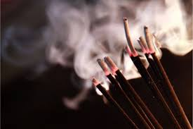 Wichtig ist hierbei, dass den tieren kein schaden zugefügt wird, denn sie stehen unter naturschutz, da ihre population in heimischen gebieten massiv gefährdet ist. Siebenschlafer Vertreiben 4 Hausmittel Gegen Gartenschlafer Gartenlexikon De