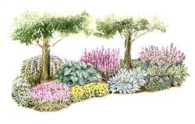 Fall Garden Design Lessons Shade Garden Garden Planning Shade Plants