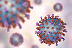 Bavarian nordic said the first human trial involving up to 42 adults would begin shortly in the radhoud university medical centre in the netherlands. Bavarian Nordic Reveals Positive Phase 2 Data For Universal Rsv Vaccine Drug Discovery And Development